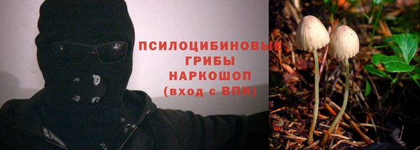 мяу мяу мука Нефтегорск