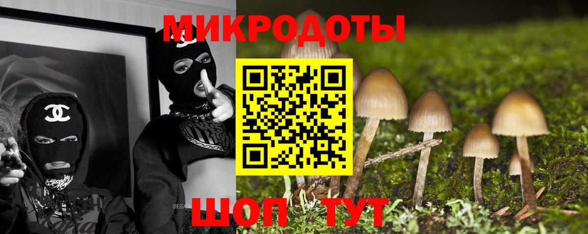 Выборг  Галлюциногенные грибы мицелий  купить наркотики сайты  Вход с VPN 